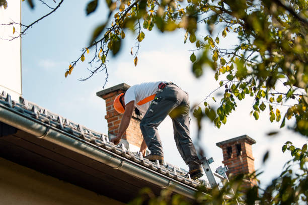 Best Roof Ventilation Installation  in Delft Colony, CA