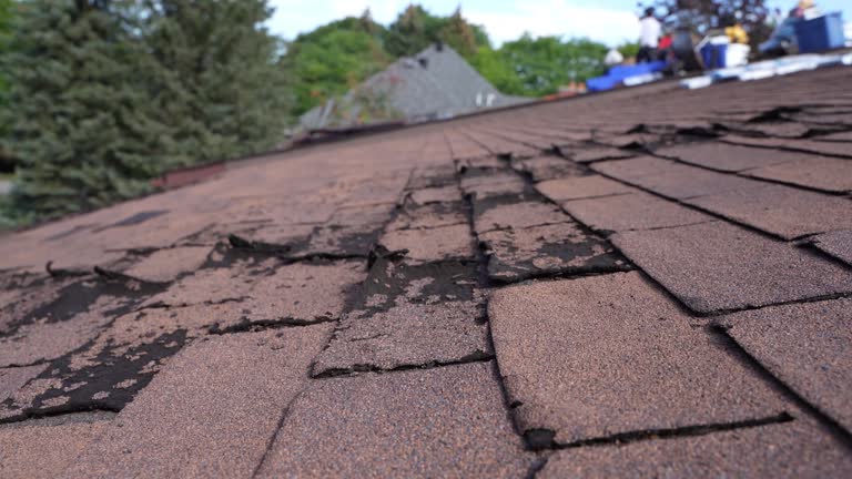 Best Roof Maintenance and Cleaning  in Delft Colony, CA