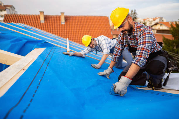 Hot Roofs in Delft Colony, CA