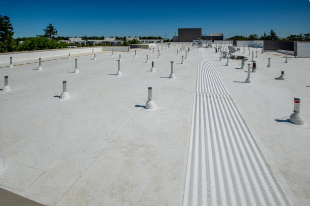 Steel Roofing in Delft Colony, CA